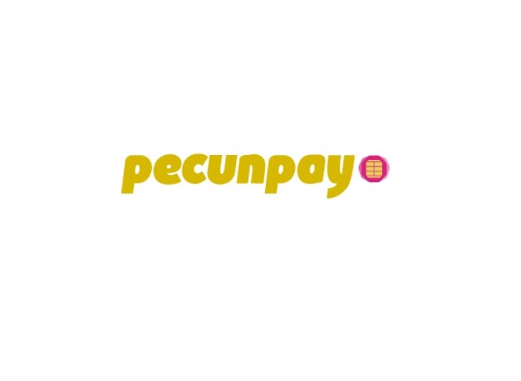 Pecunpay: primer emisor de tarjetas UnionPay en Espaa