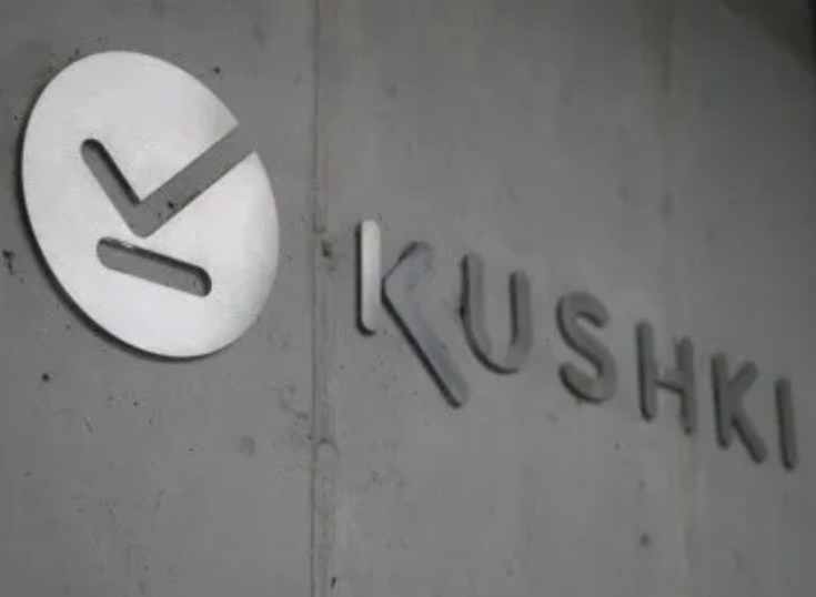 Kushki finalmente obtiene la licencia como adquirente en Chile