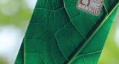 Infineon lanza SECORA Pay Green
